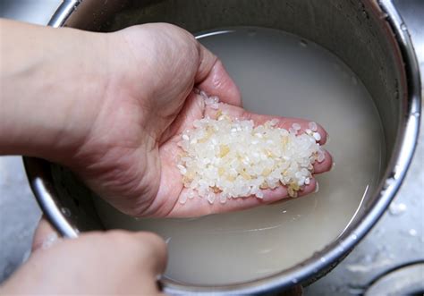 洗米水澆花|別再倒掉洗米水！它還有這 12 招好好用！